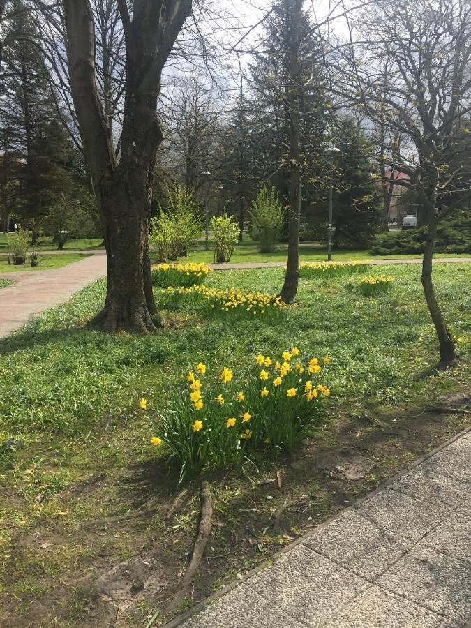 Mieszkanko Kolobrzeg Luaran gambar